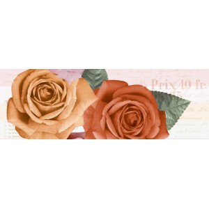 Gạch ốp tường Trường Thịnh INDIAN STONE 25751-HL-C1